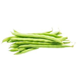 Organic Bean