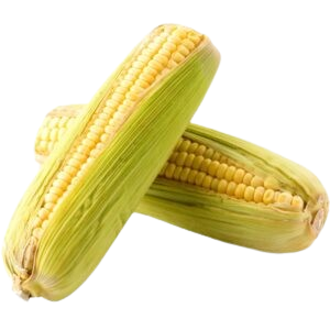 Organic Corn