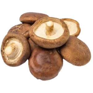 Organic Mashroom